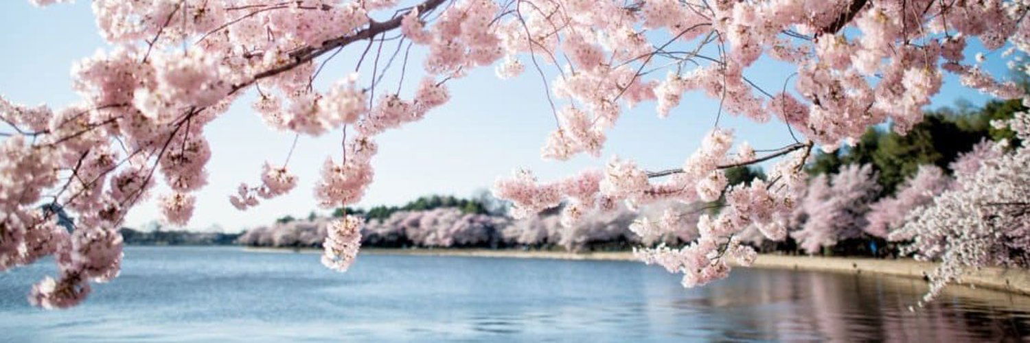 ThatOneGuyNSFW profile banner