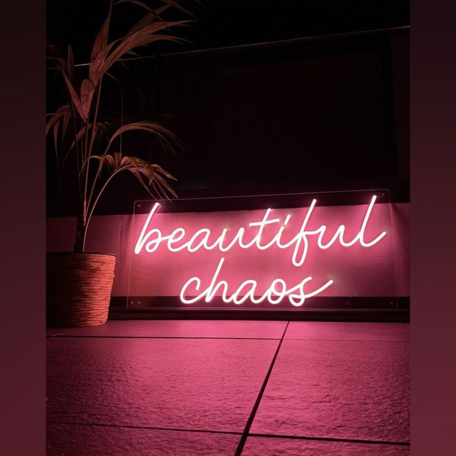 🪄🔮ShAyLa ChAsE - ViP🔮🪄 profile banner