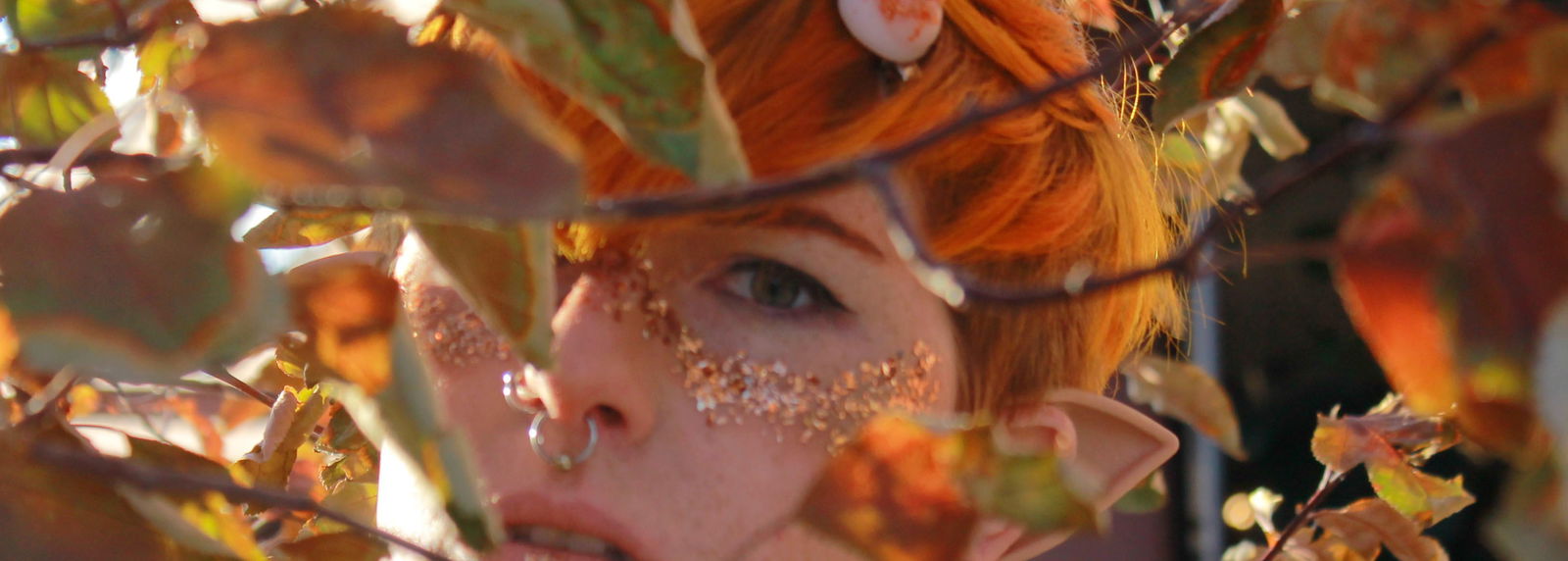 Aiden Pixie profile banner