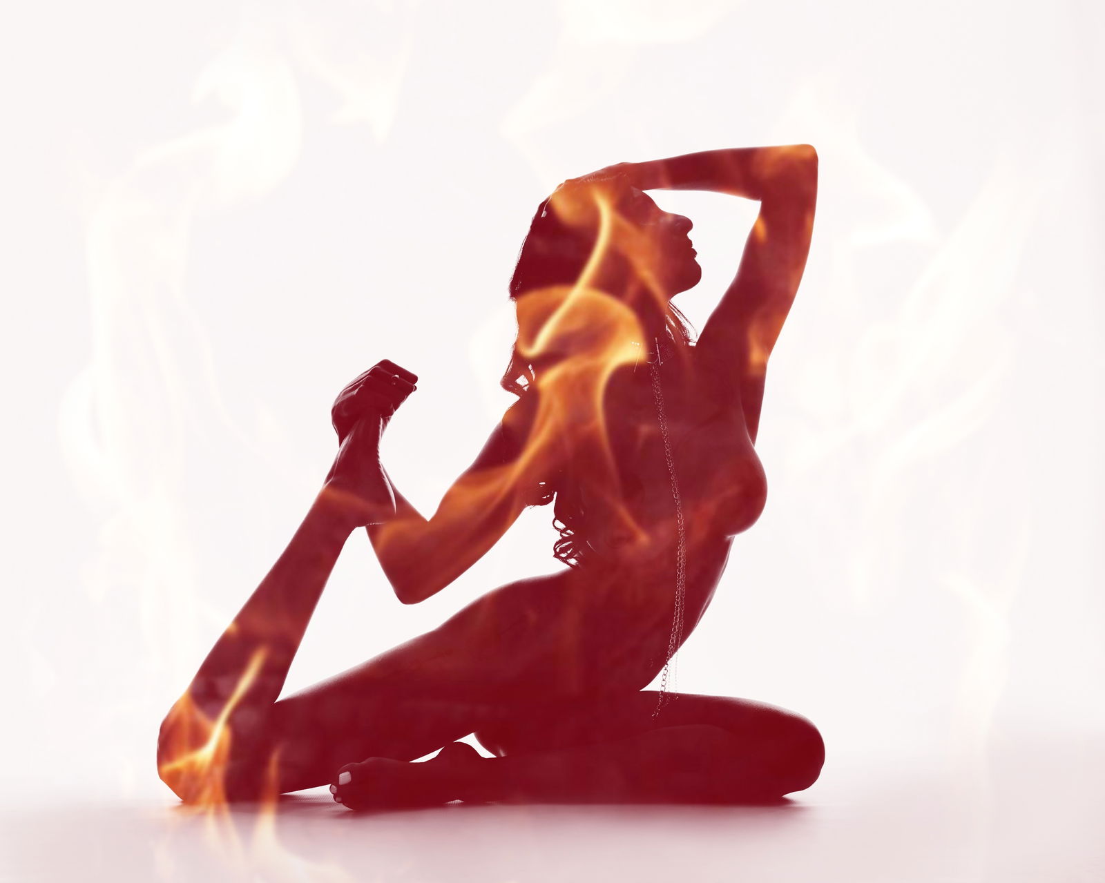 Pheonix profile banner