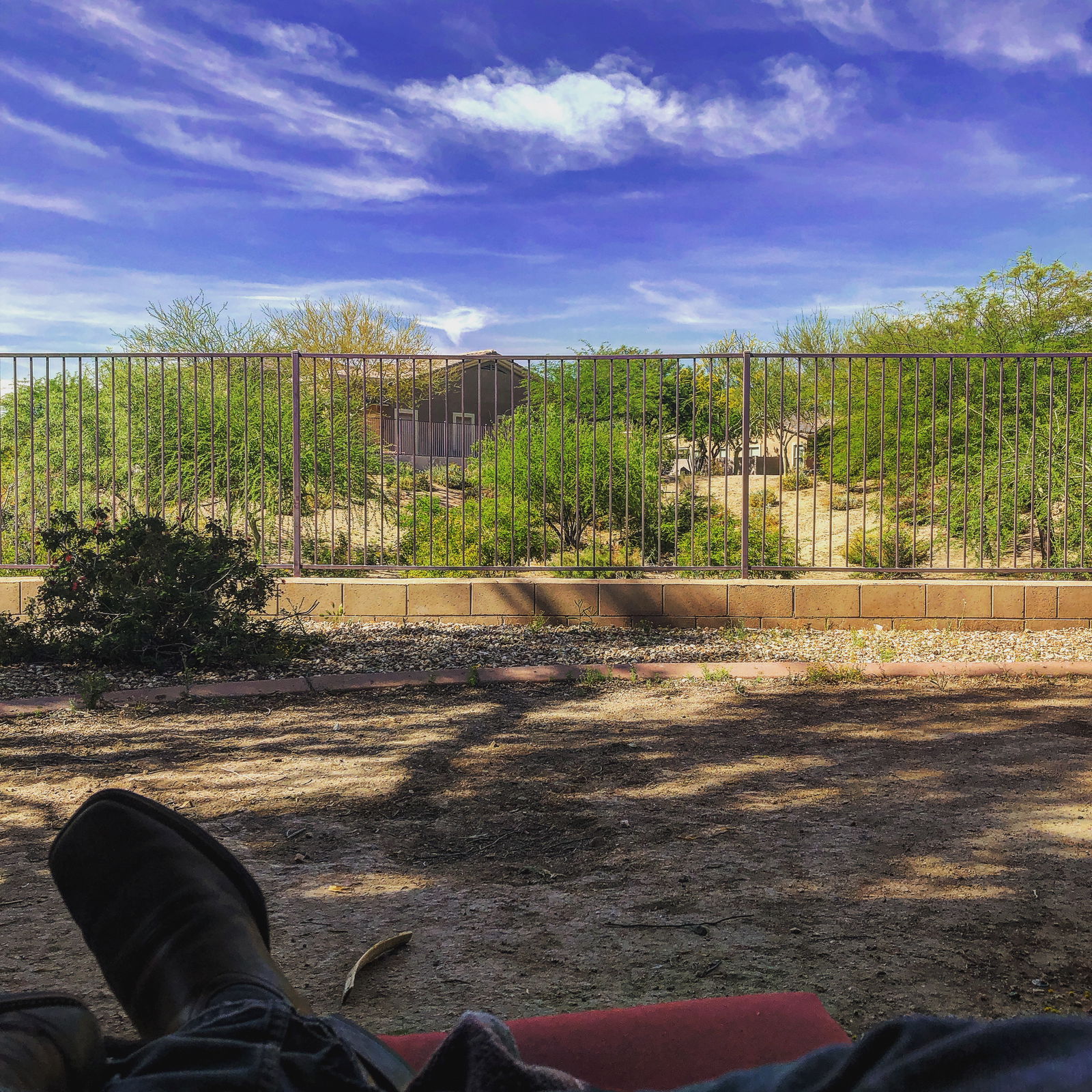 Cowboy profile banner