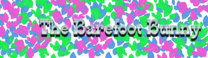 The Barefoot Bunny profile banner