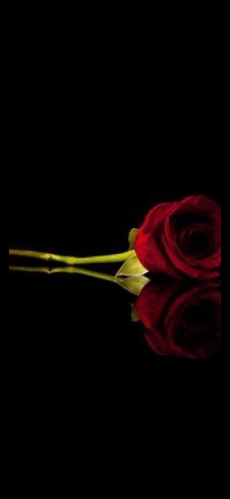The Black Marilyn Monroe profile banner