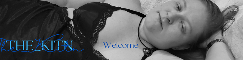 the Naughty Little Kitten profile banner