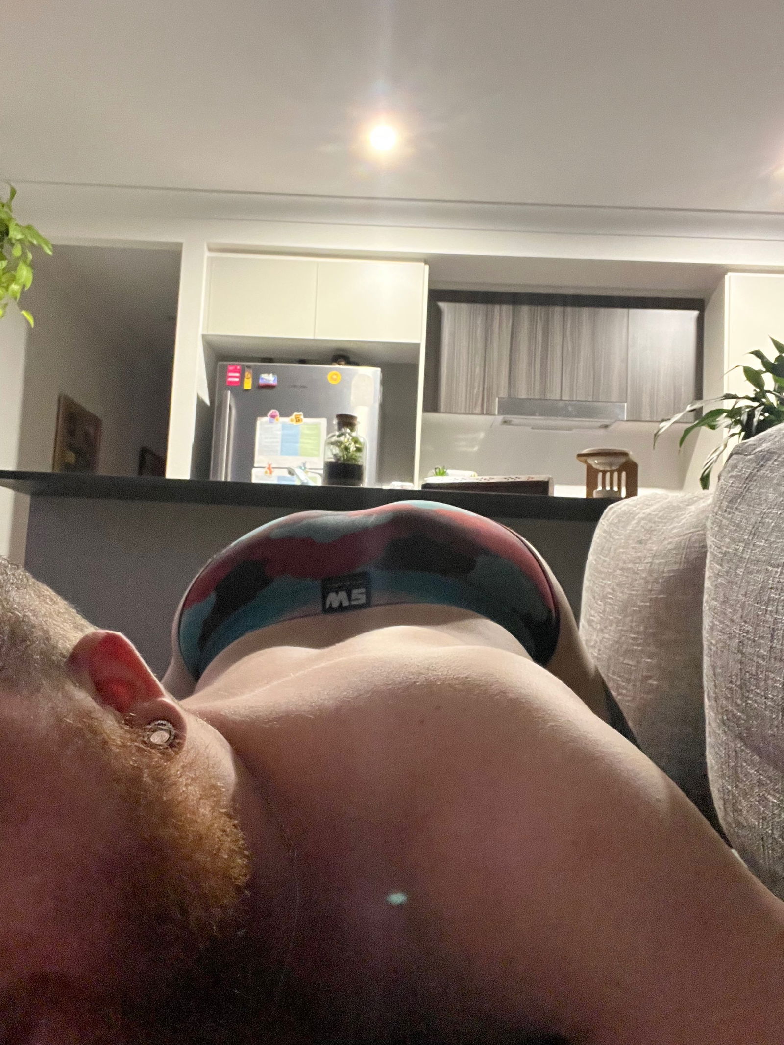 Australia’s Ass profile banner