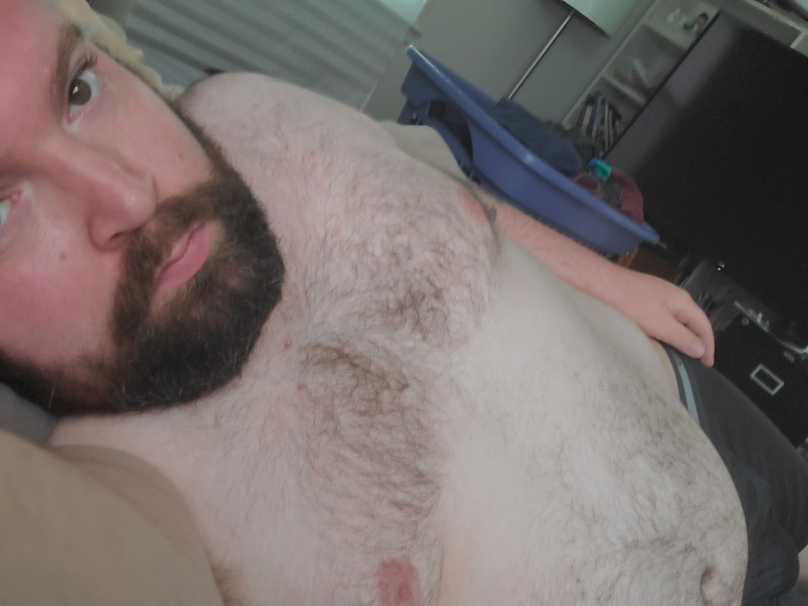 thebeardedbull banner