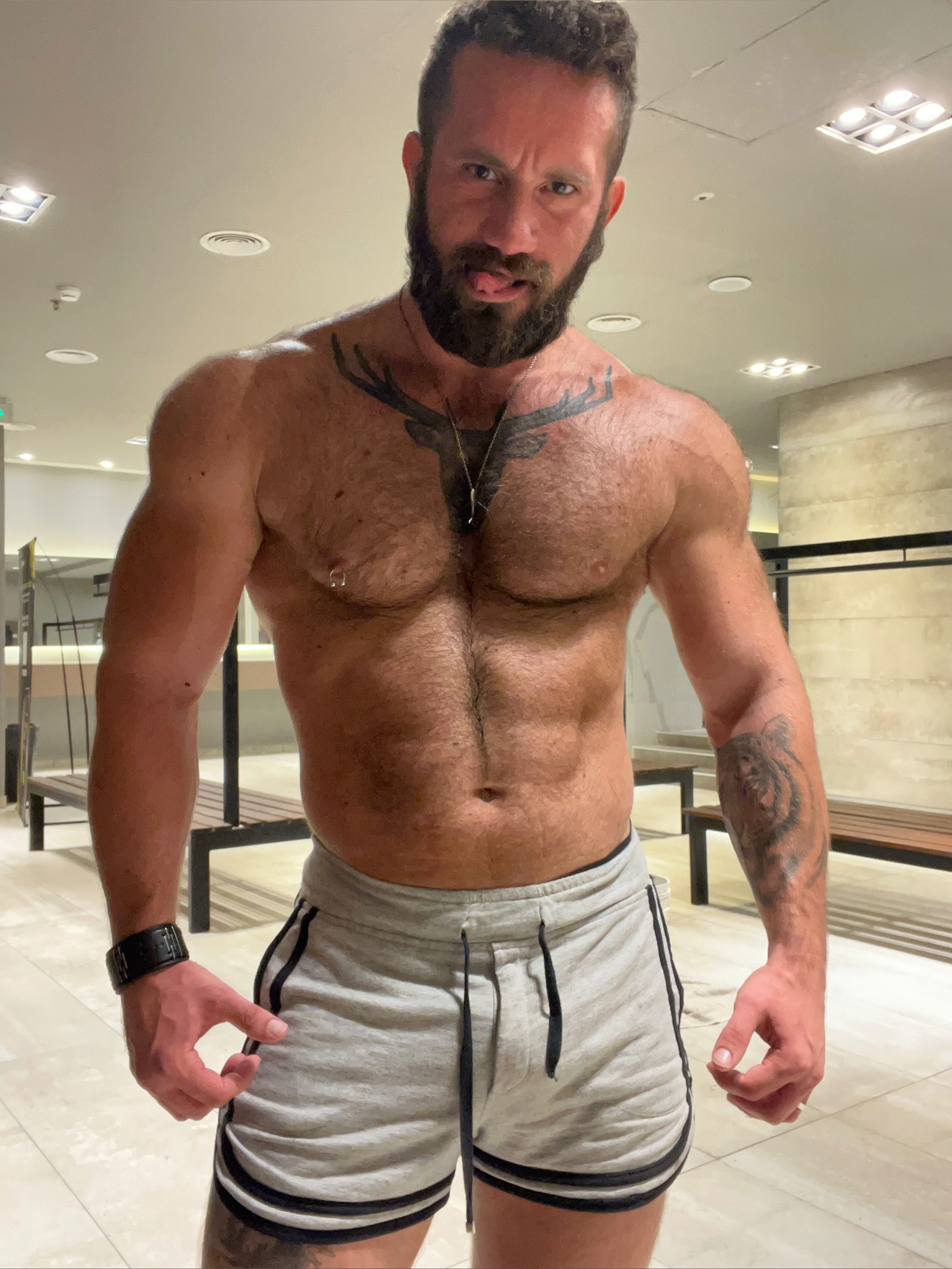 Bruno The BeardX profile banner