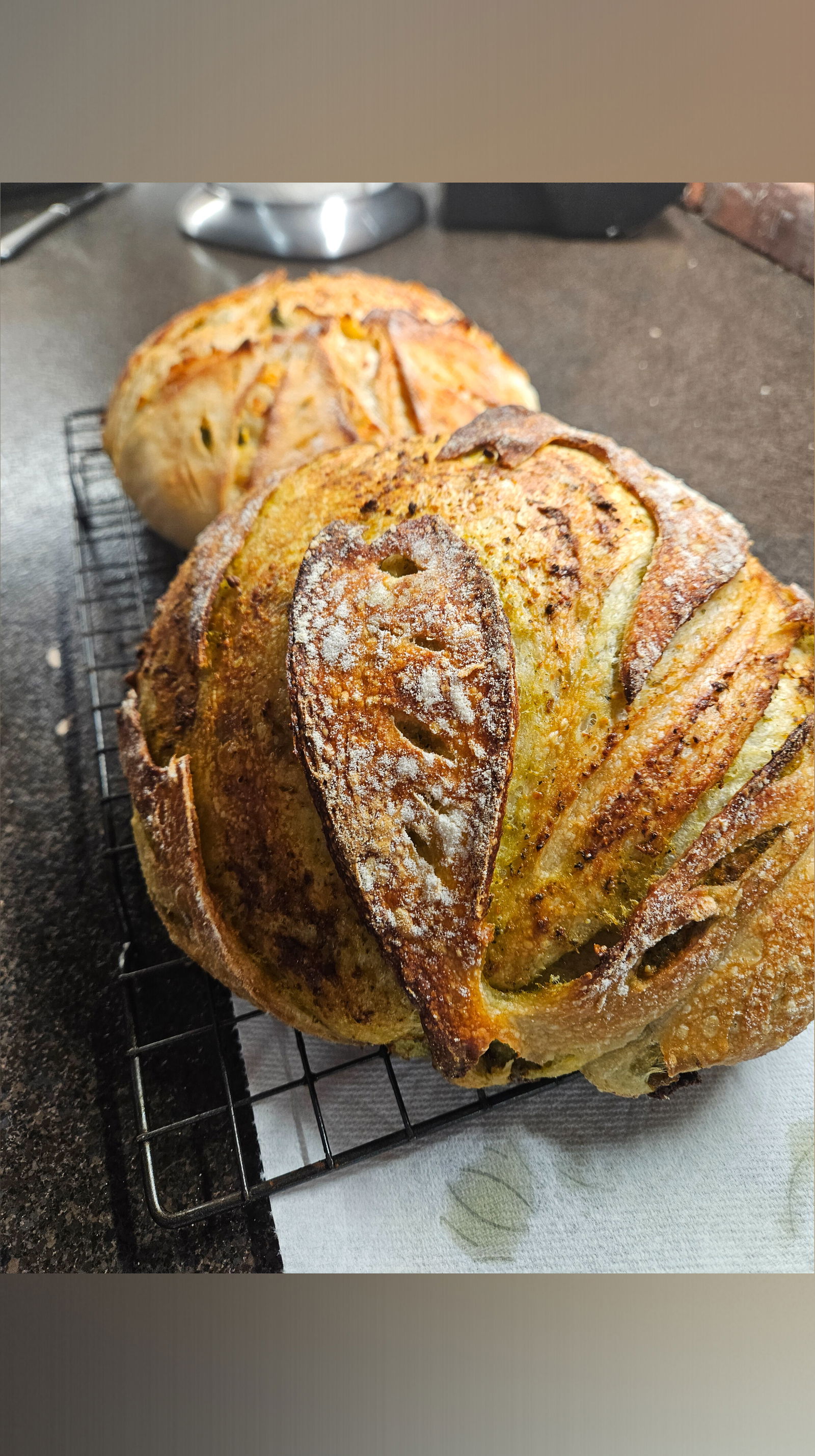 TheBreastBaker profile banner