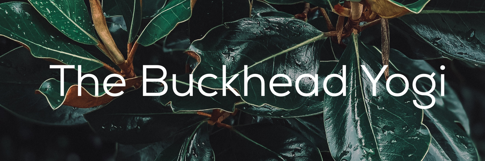 TheBuckheadYogi profile banner