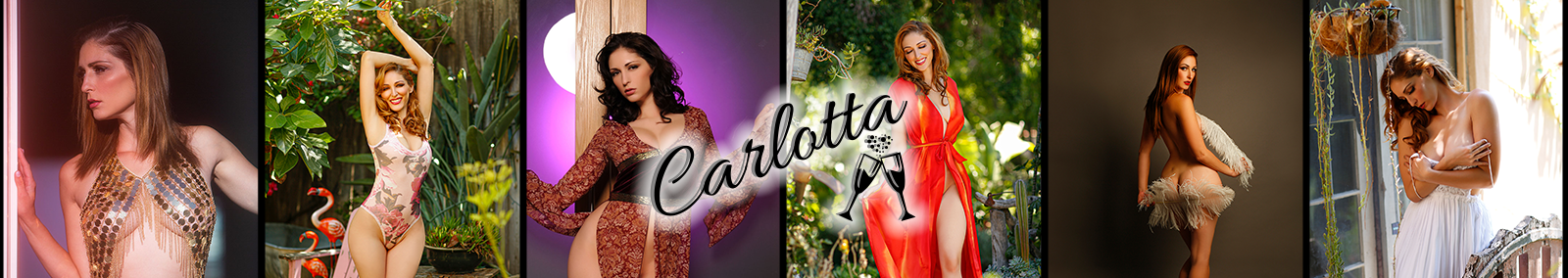 Carlotta Champagne profile banner