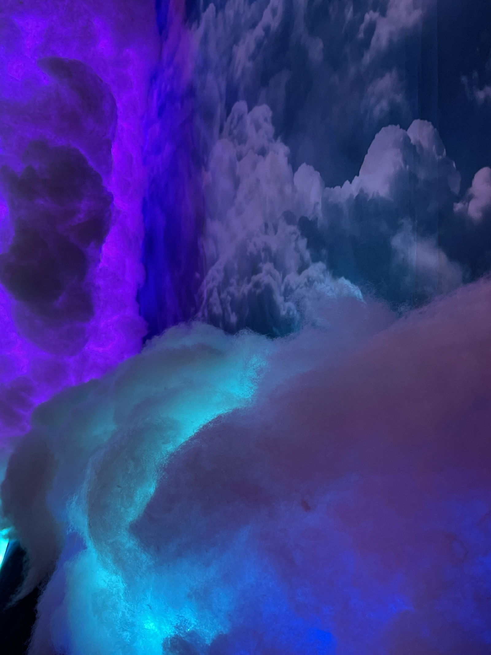 thecloudprincess banner