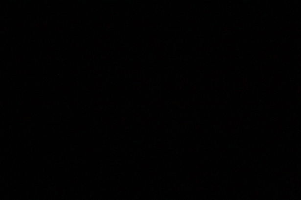 The Daddy Cock profile banner