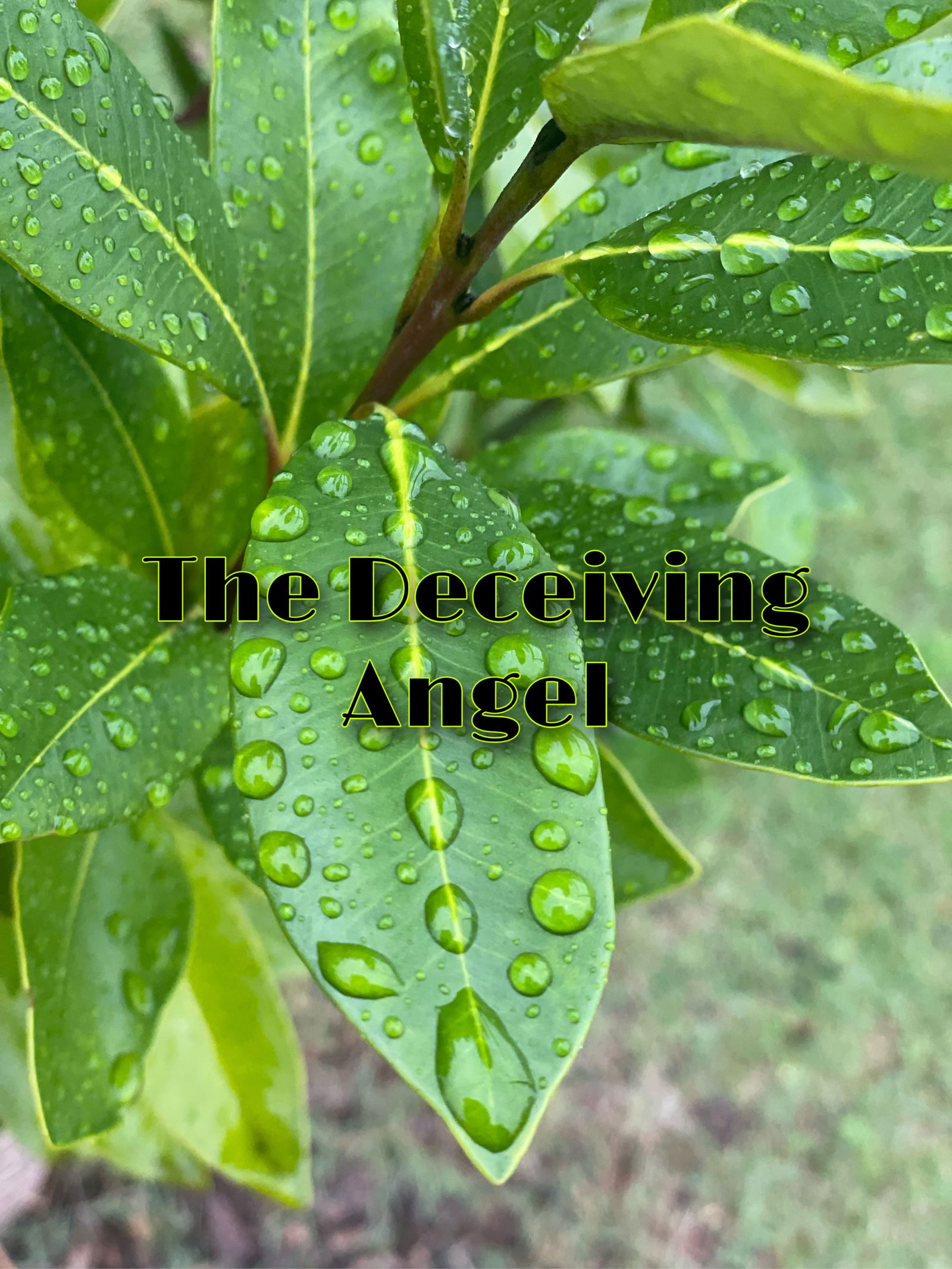 Deceiving Angel profile banner