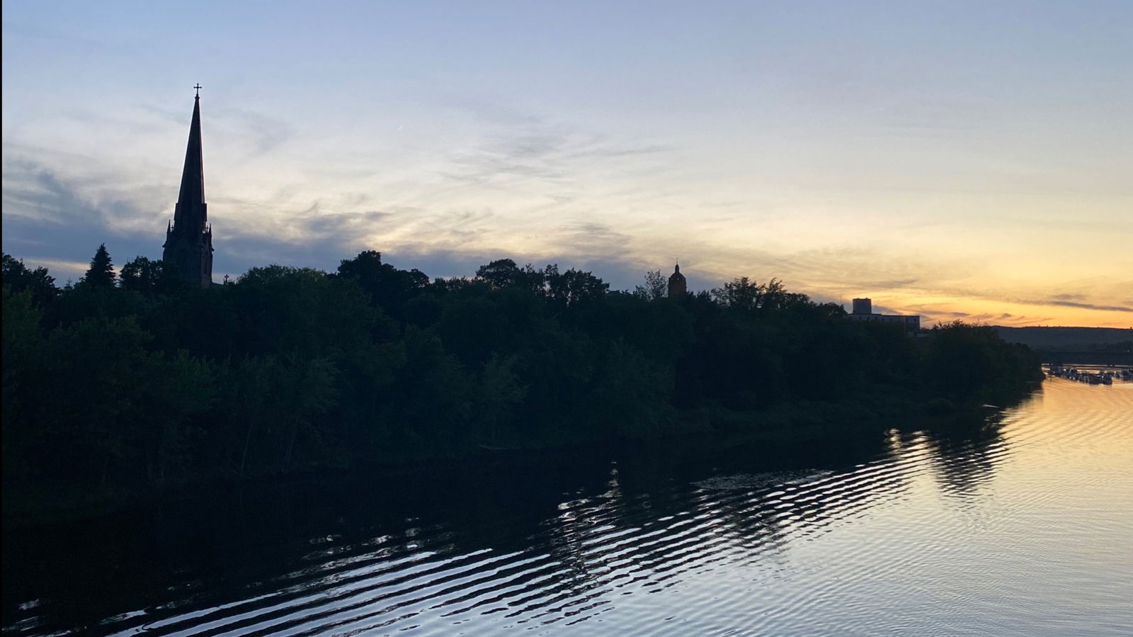 The East Coast Pup profile banner