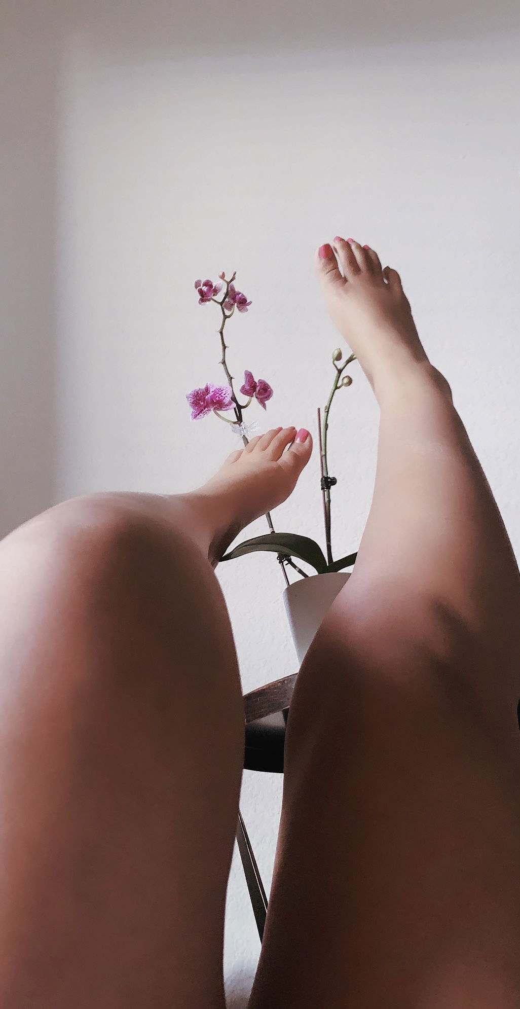 TheeSweetFeet profile banner