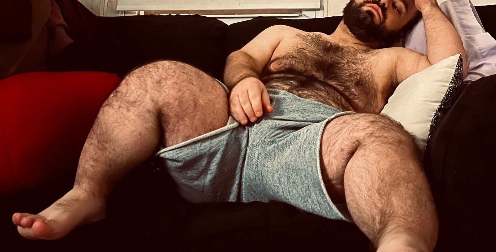 thefurrydwarf banner