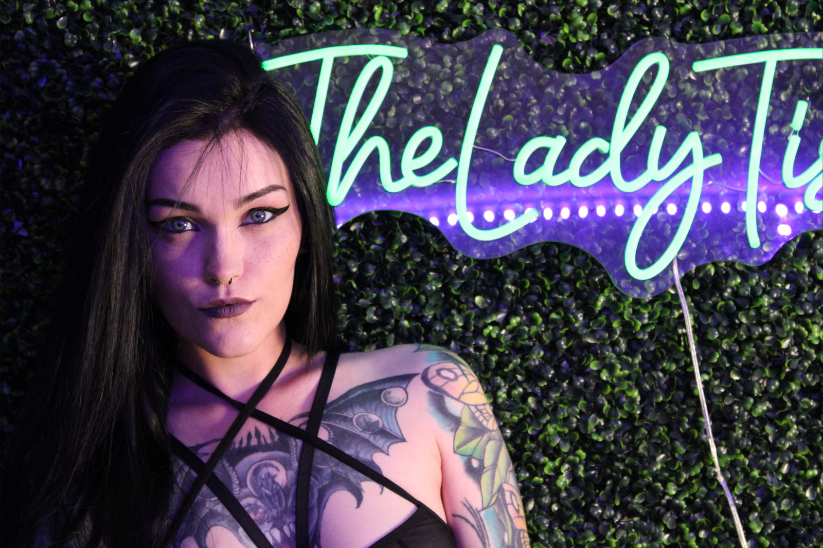 theladytish banner