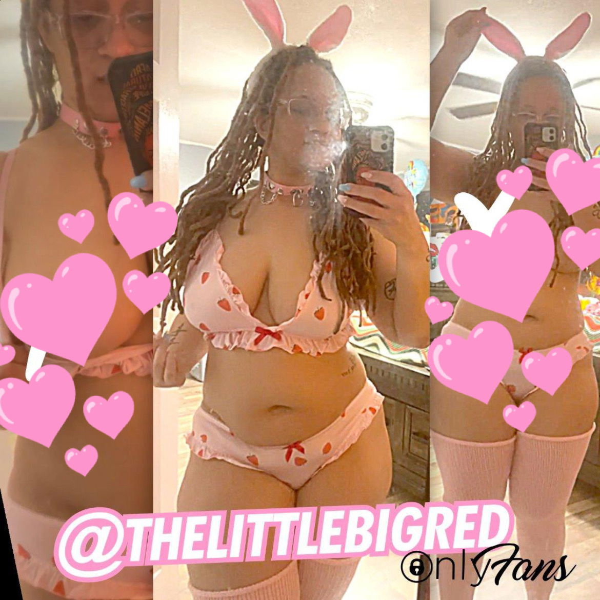 thelittlebigred banner