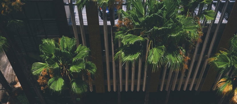 themixedasian profile banner