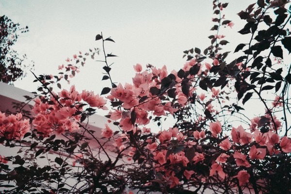Lexxxi profile banner