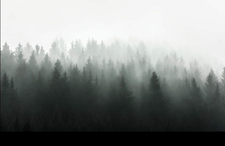 Throbbin' Hood profile banner