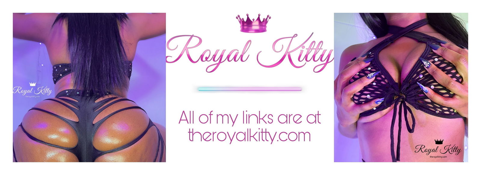 The Royal Kitty π¦ profile banner