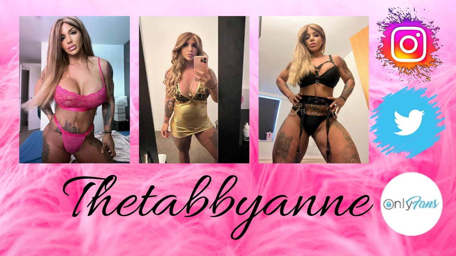 thetabbyanne banner