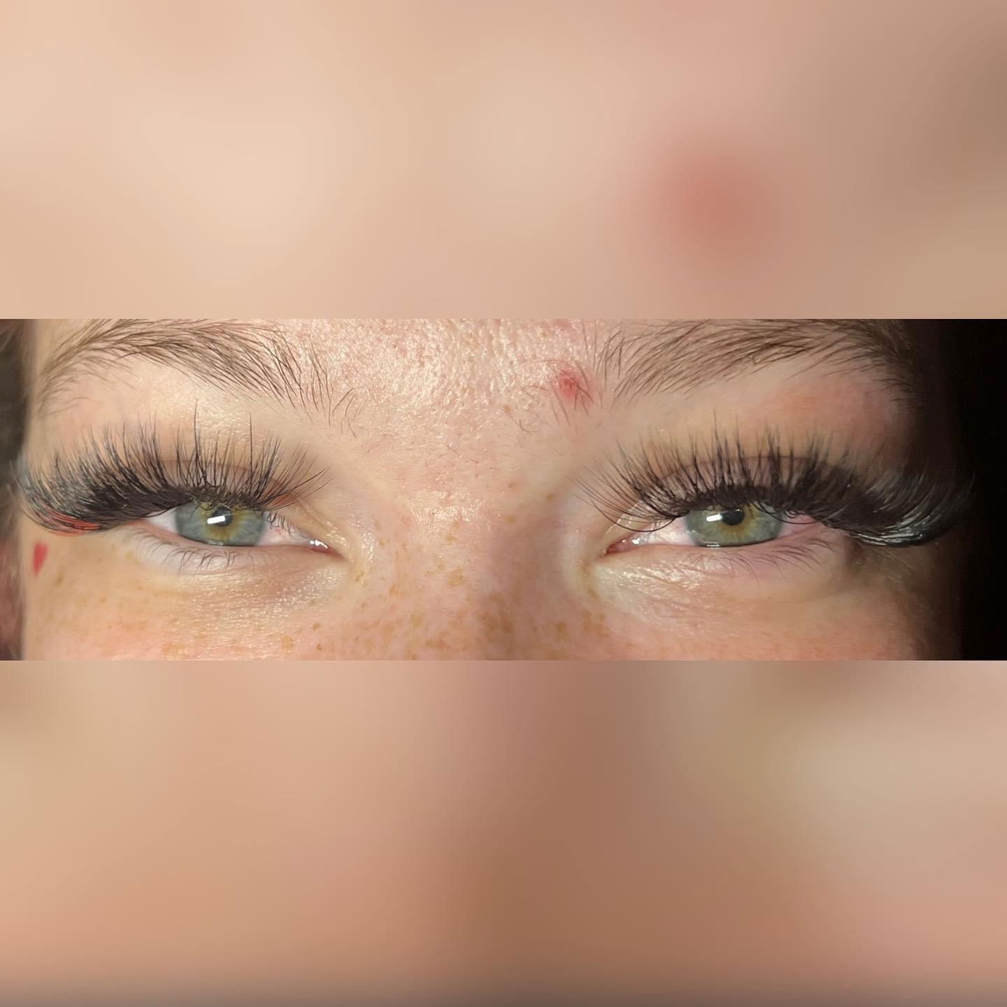 LilyBear222 profile banner