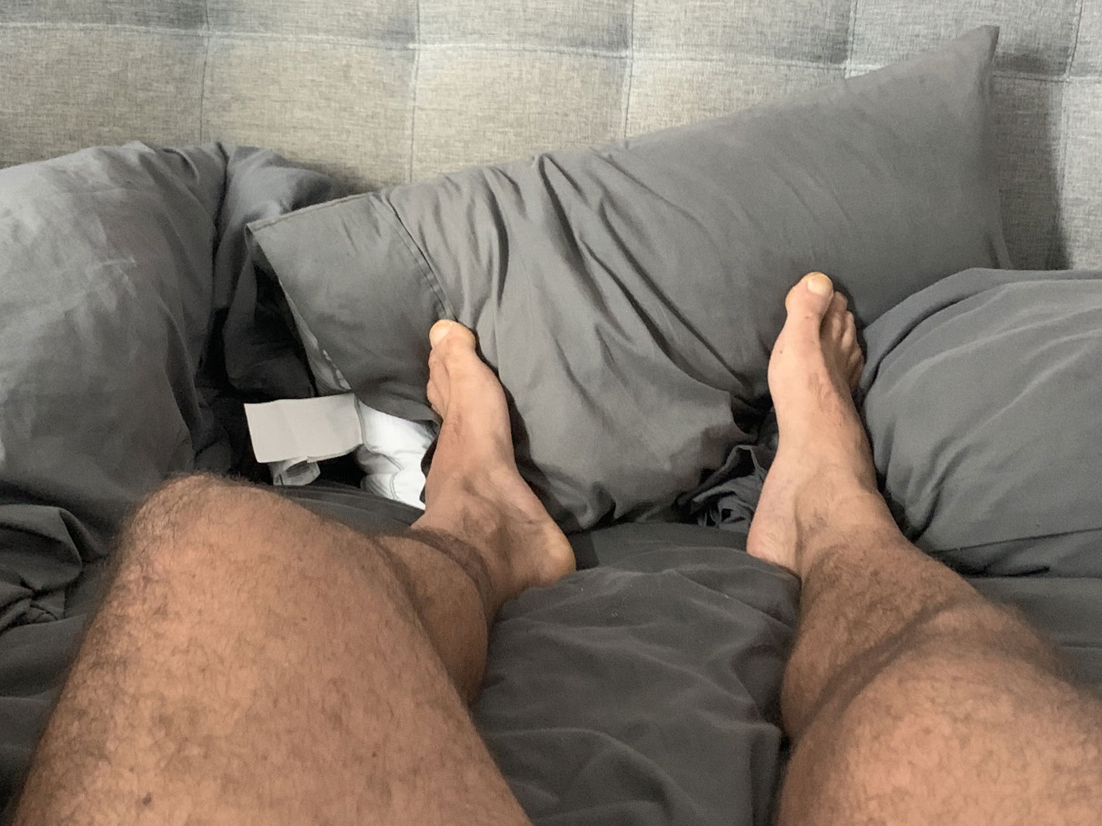 Thick French Dick profile banner
