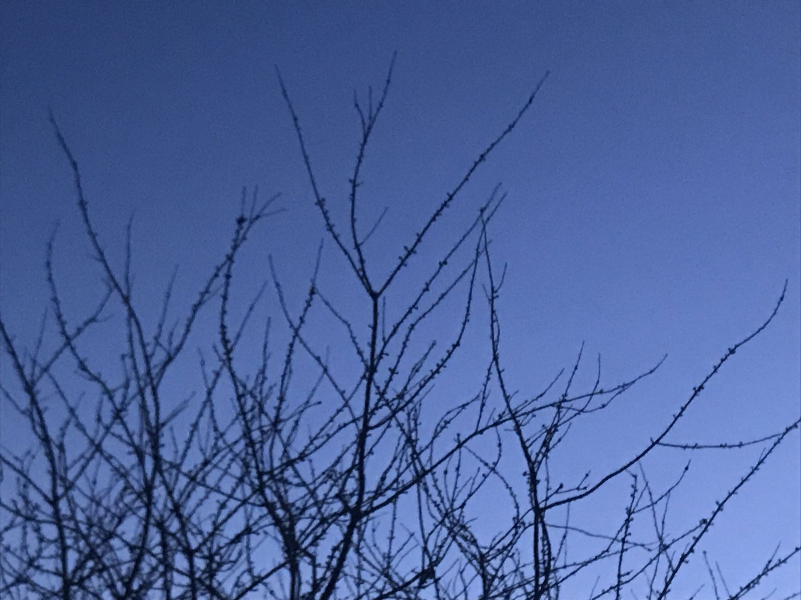 jam profile banner