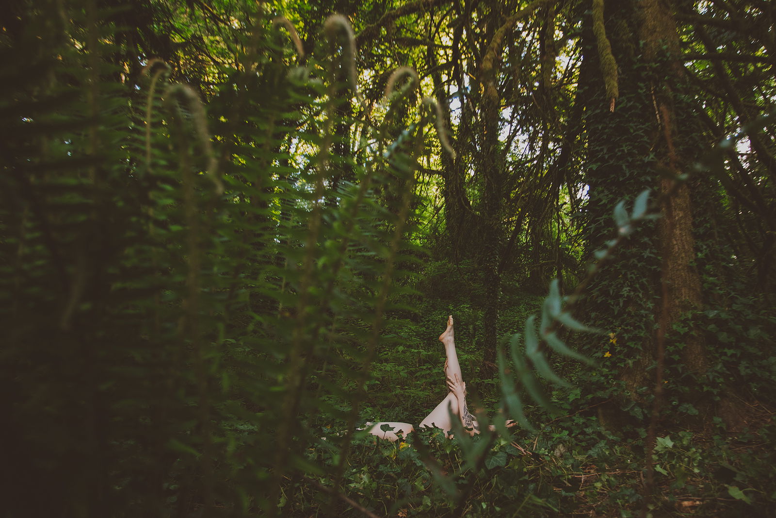 thumbelinavina banner