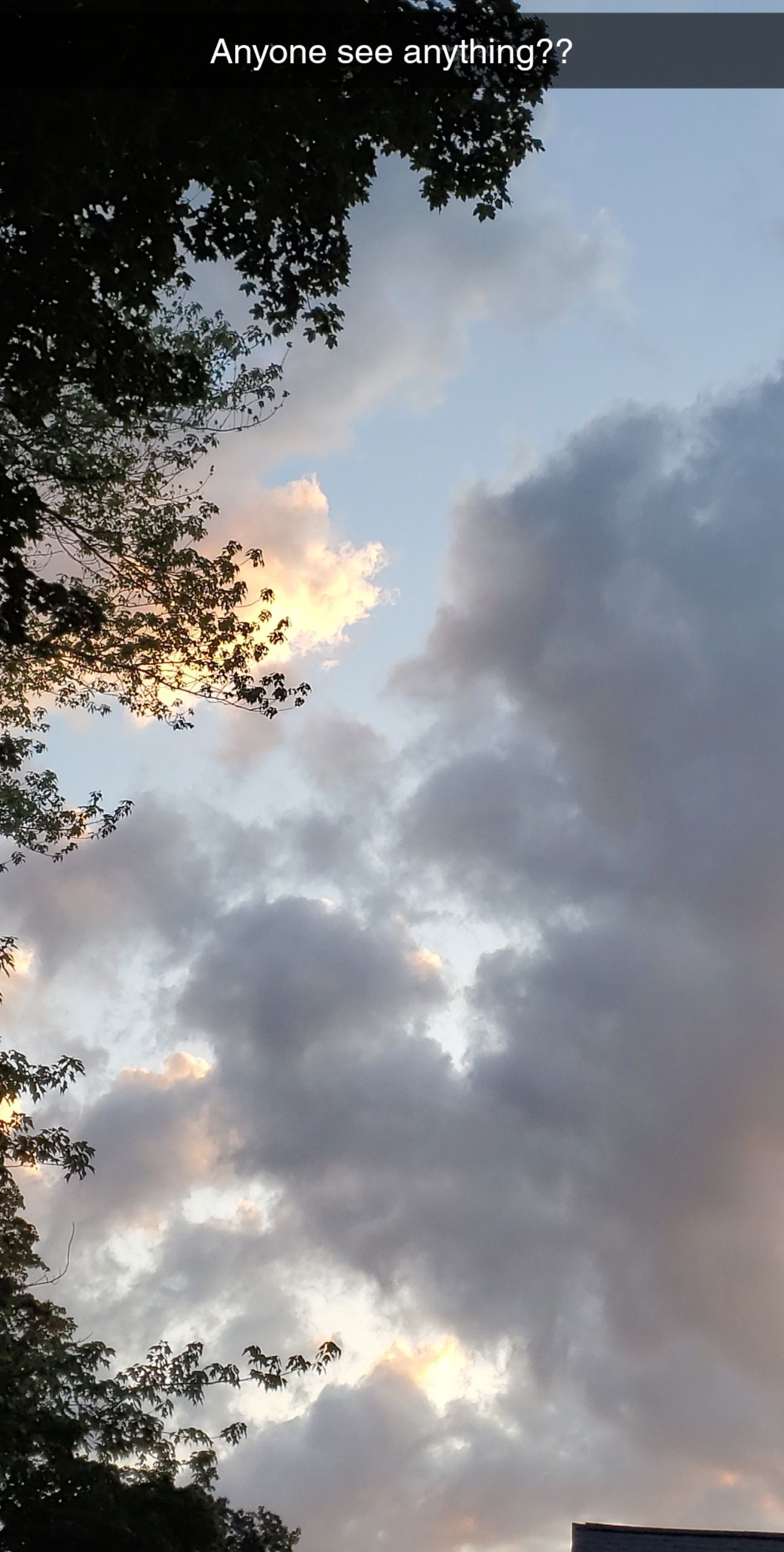 tinker-bell1331 banner