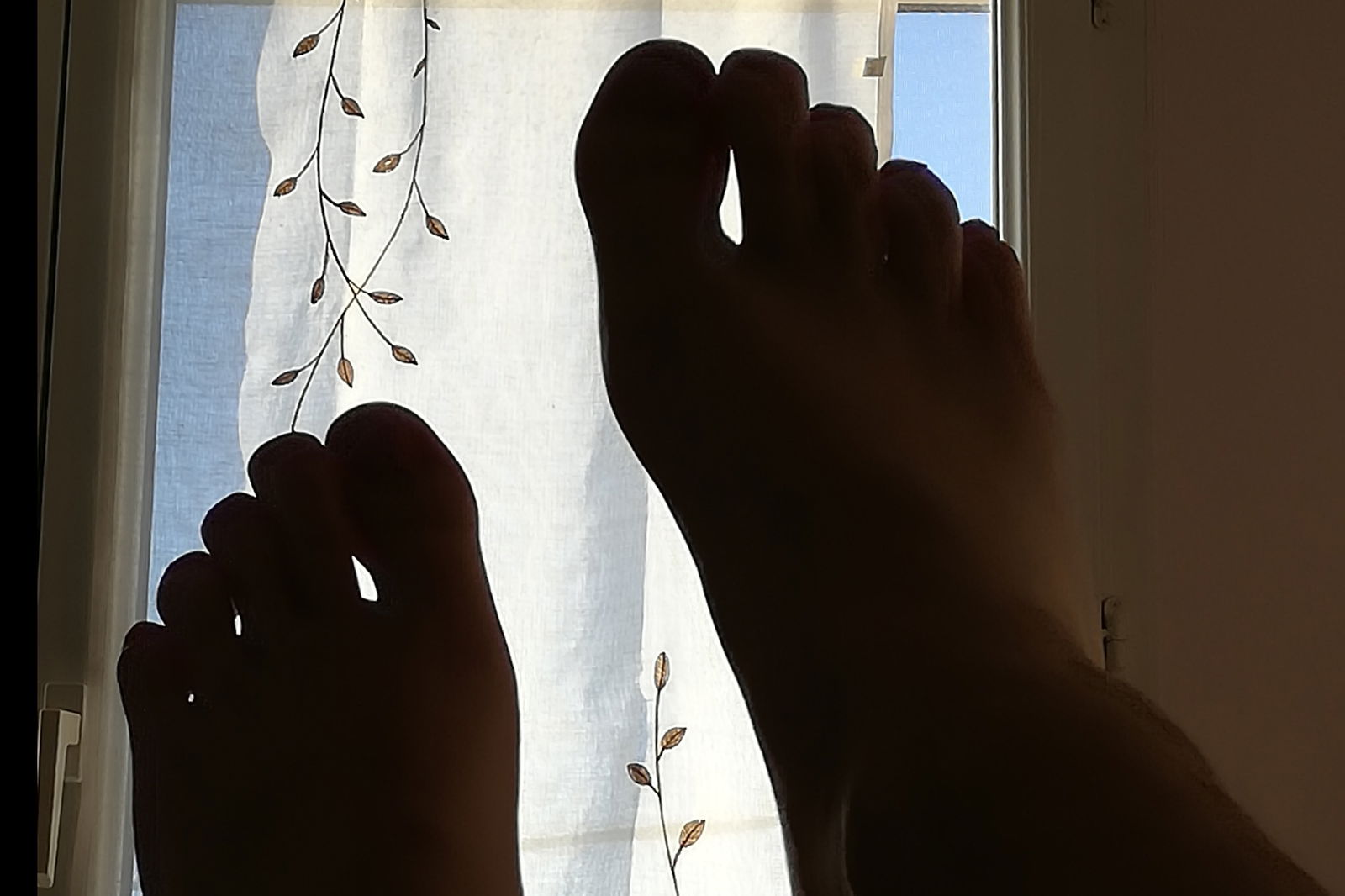 Tip_Toe profile banner