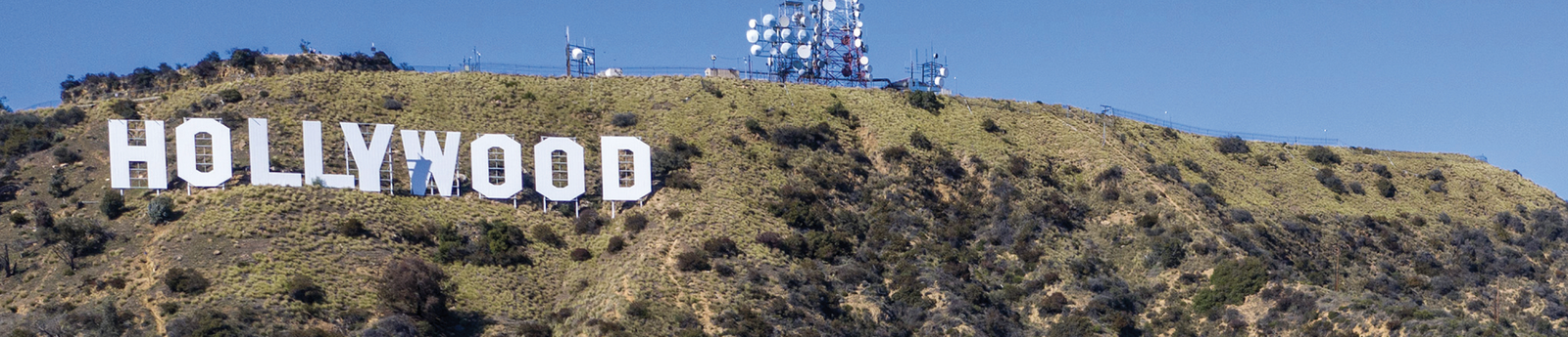 Todd MacFadden profile banner