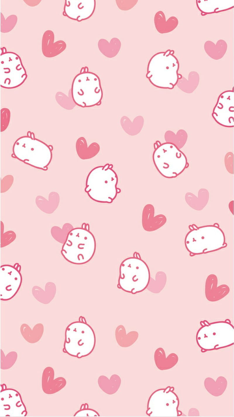 Toe Bunny profile banner