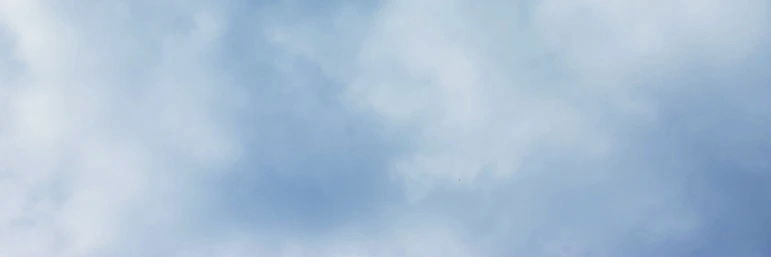 Tommy Wolfe profile banner