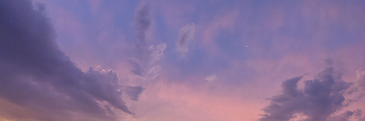 Topher Phoenix profile banner
