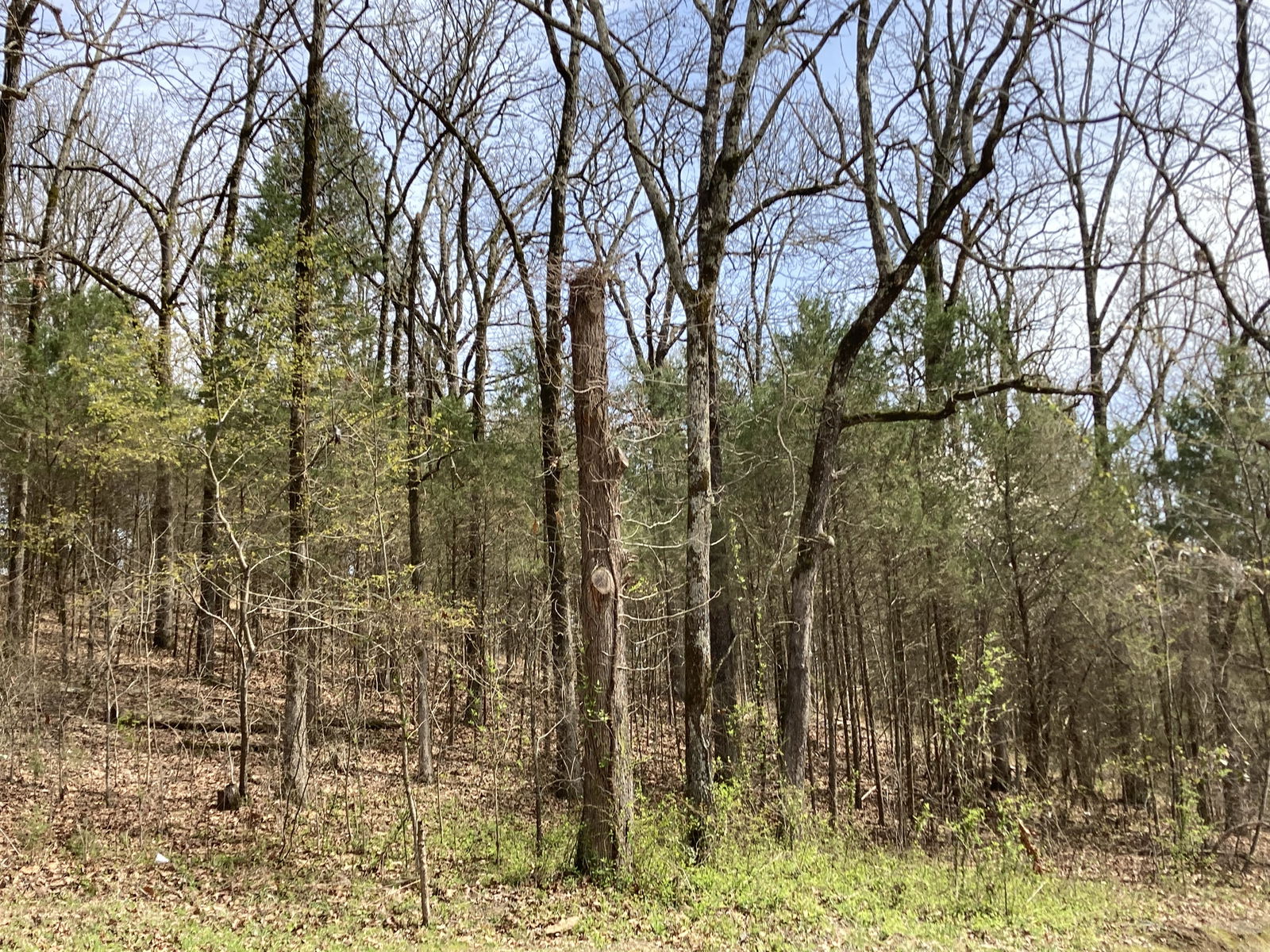 Top of the Ozarks profile banner