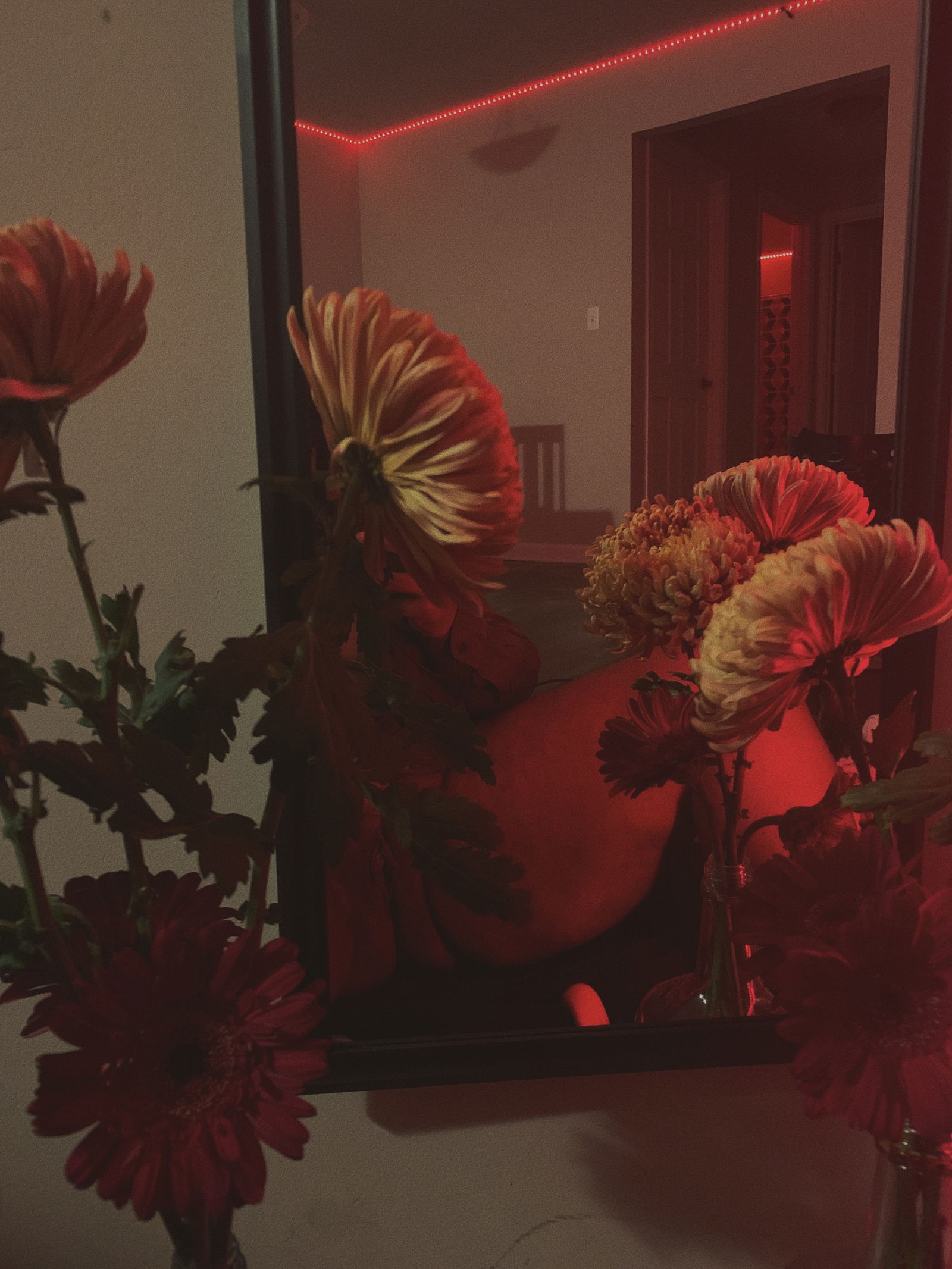 Tosh profile banner