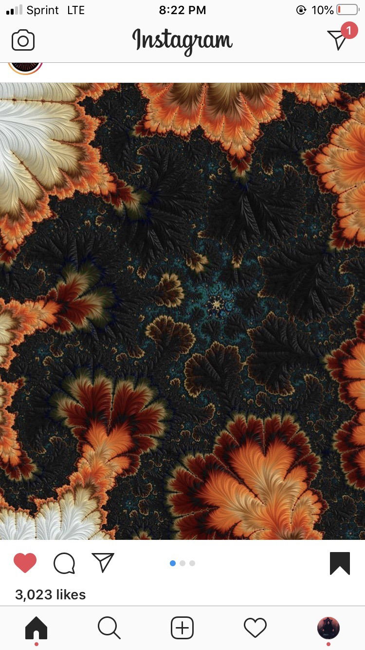 𝖙𝖗𝖊𝖞 𝖕𝖚𝖌𝖆 profile banner
