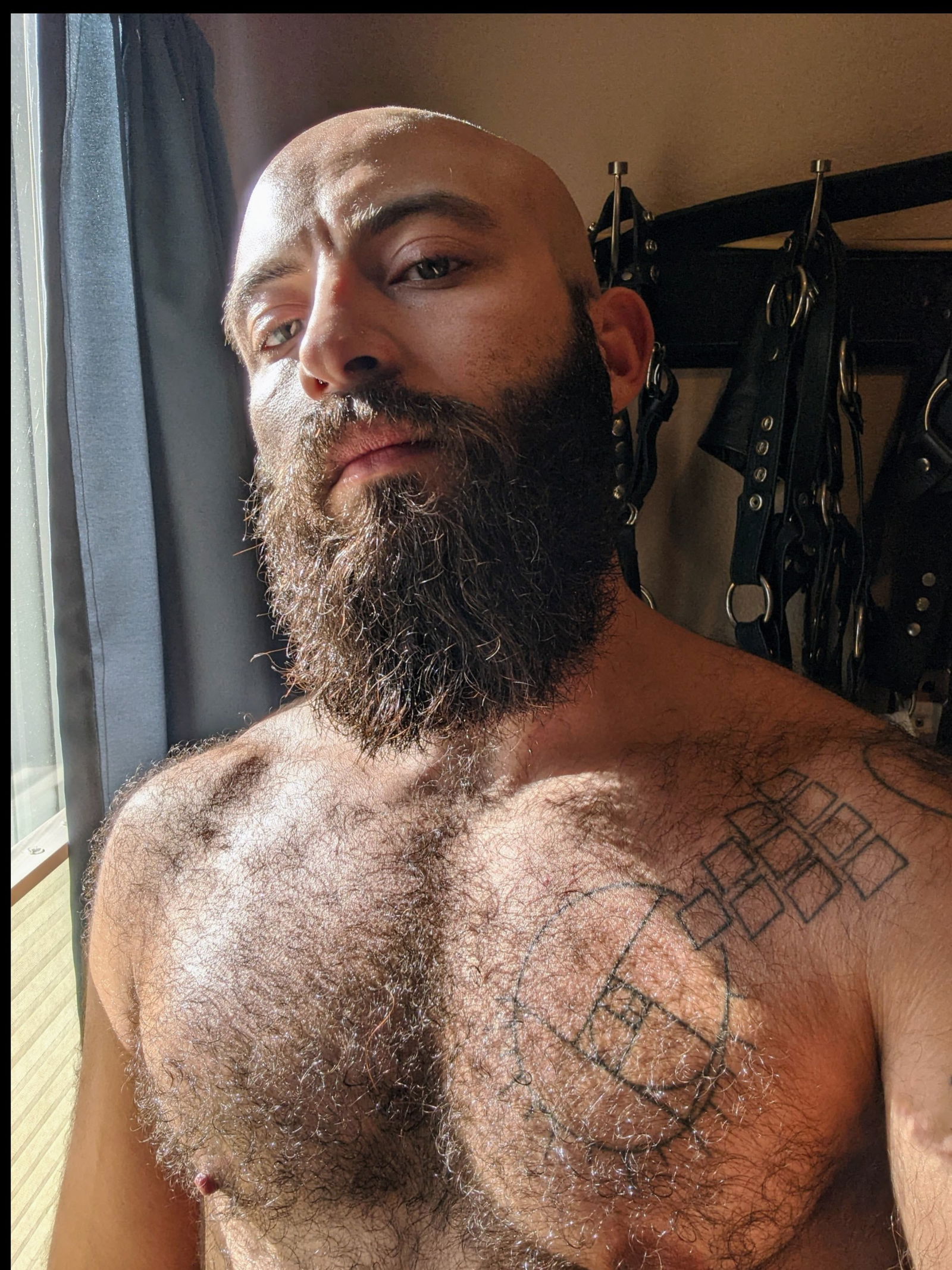 triplextransman banner