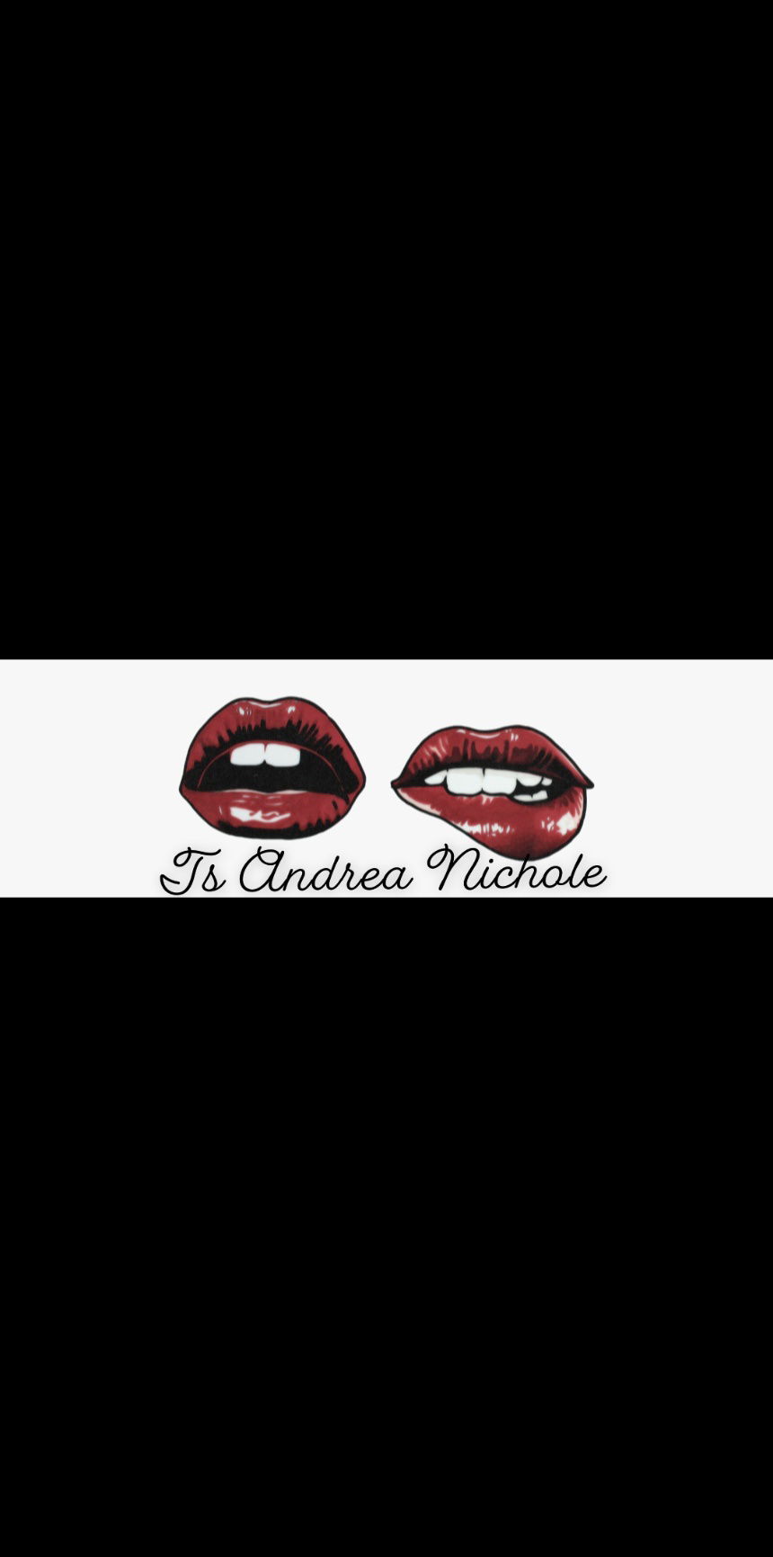 tsandreanichole banner