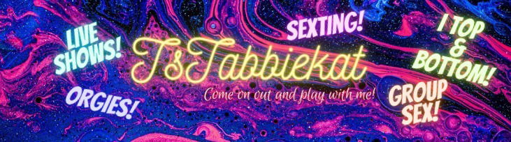 tstabbiekat banner