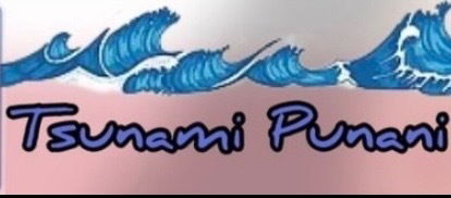 Tsunami Punani profile banner
