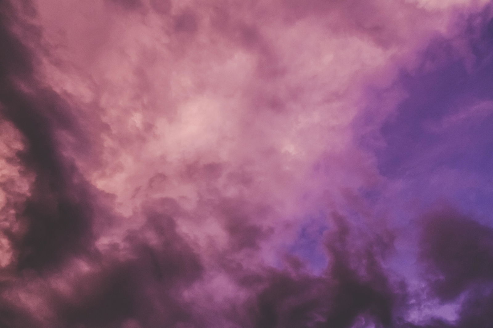 tummytings profile banner