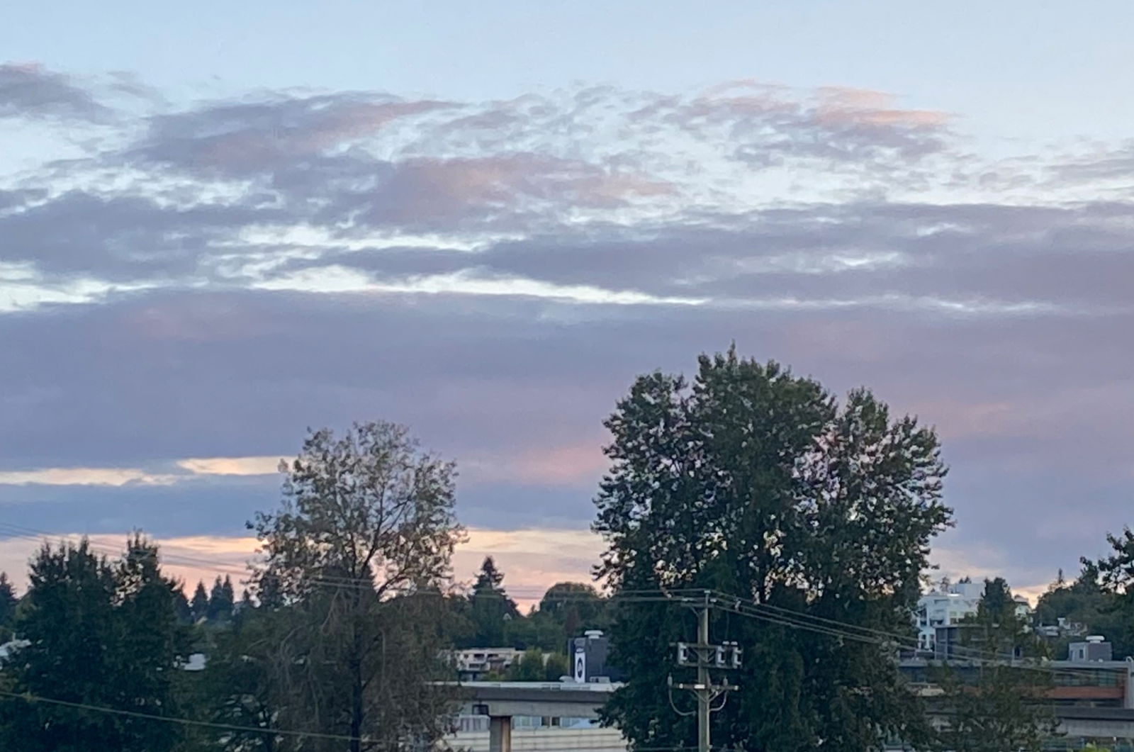 markus profile banner