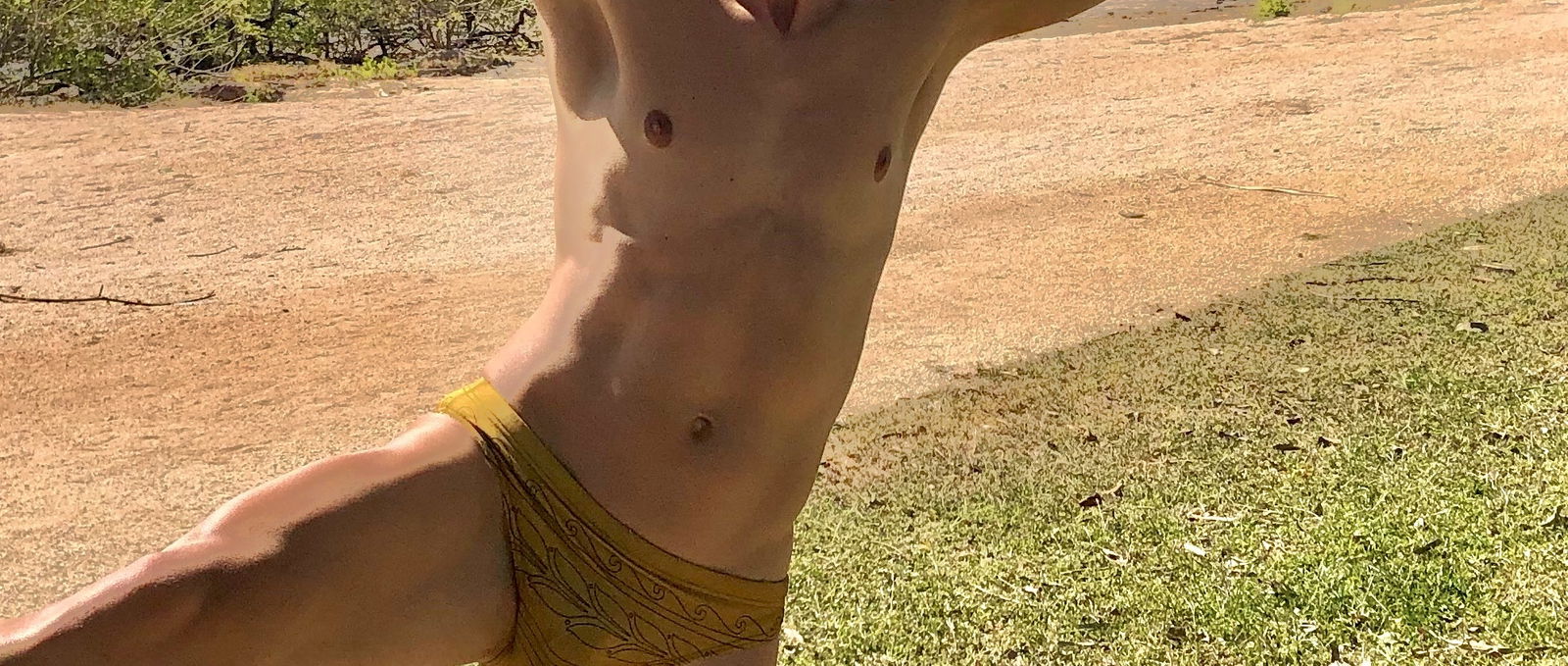 twinkyblake98 banner