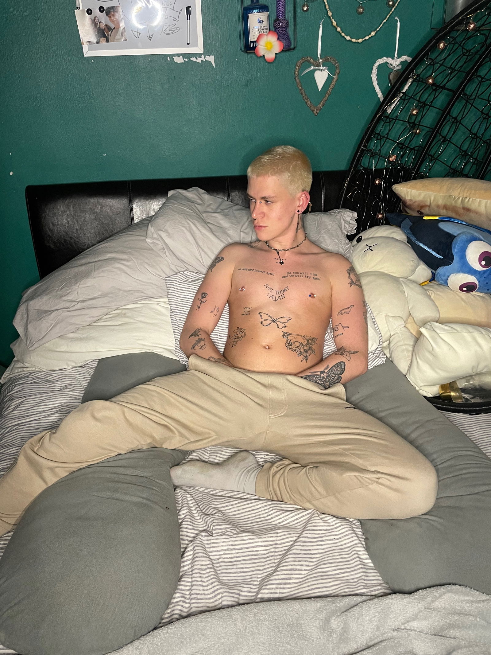 Toddytwink profile banner