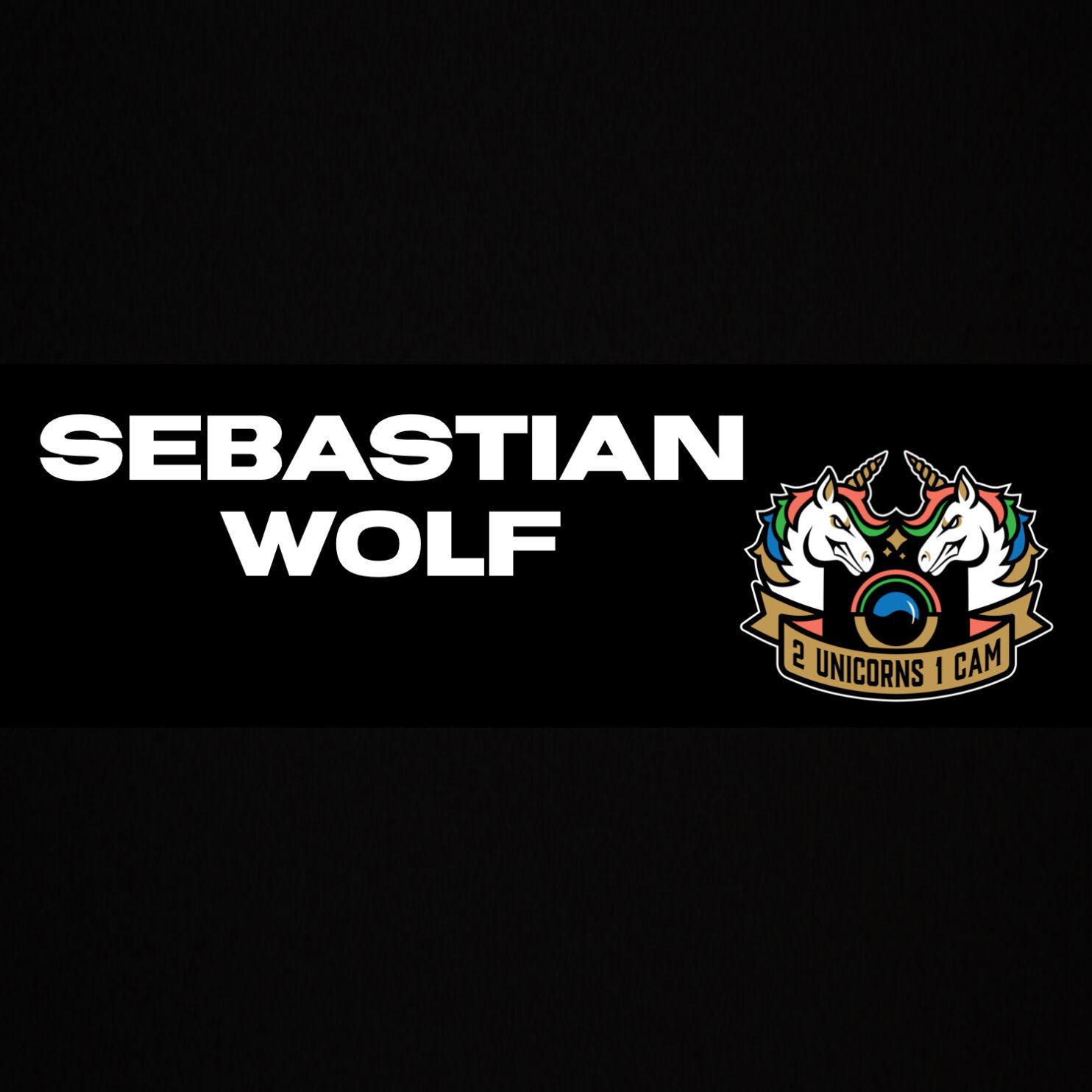 🦄🦄2 Unicorns 1 Cam📸 | Sebastian Wolf 🐺 profile banner