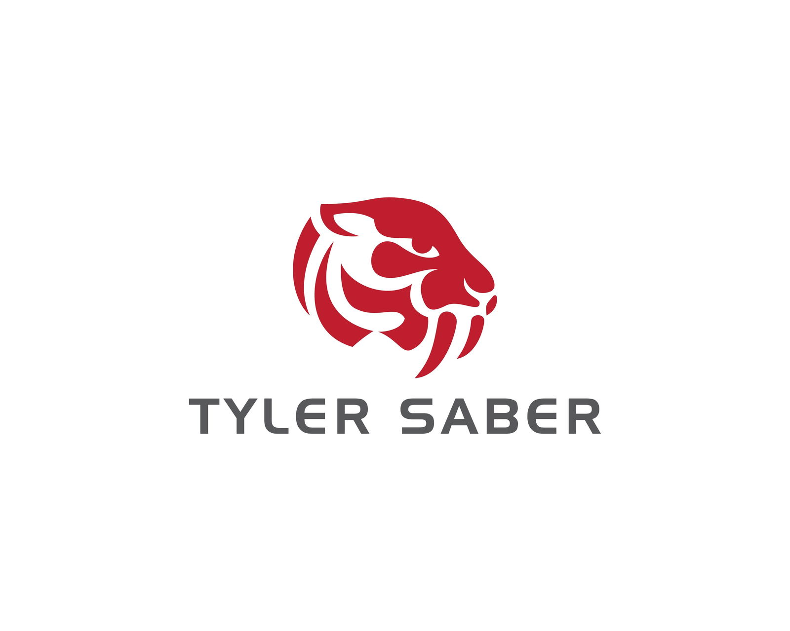 Tyler Saber profile banner